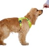 Dog Harness, Adjustable Mesh Vest, 8 Colors, Lightweight and Comfortable