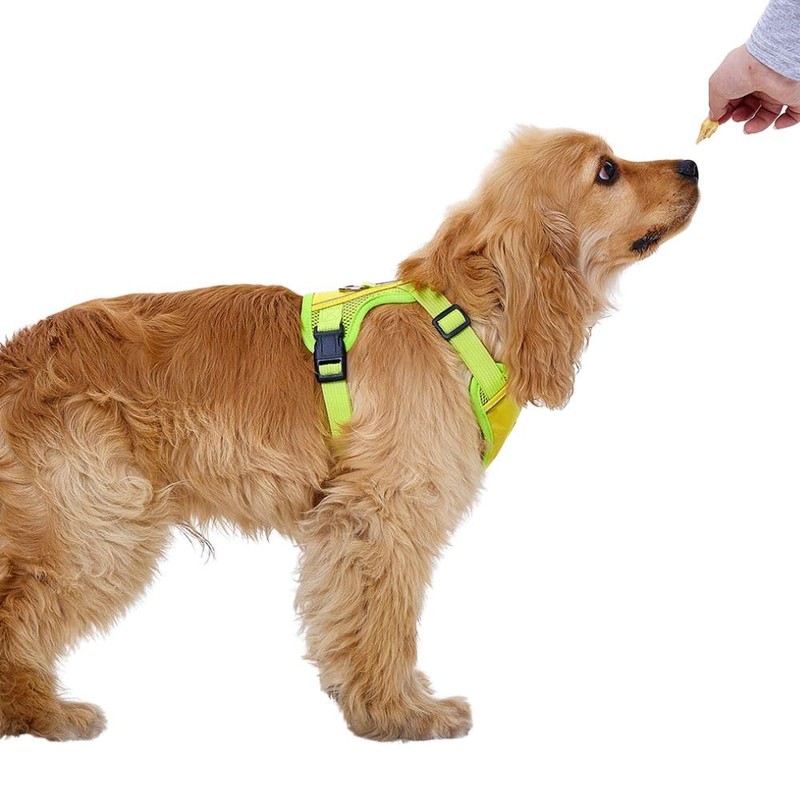 Dog Harness, Adjustable Mesh Vest, 8 Colors, Lightweight and Comfortable