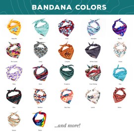 Wilderdog Dog Bandana with Lightweight Quick Drying Poly-Blend Mesh Material in Rainbow