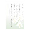 S-OR106 Flower Thank You Cards, 10 Postcards, Private Mourning Postcards,