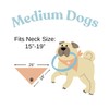 My Human Graduated! Dog Bandana Minimal Cream Beige (Large)