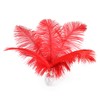 Ballinger Red Ostrich Feathers Bulk - 24Pcs 8-10inch Feathers for