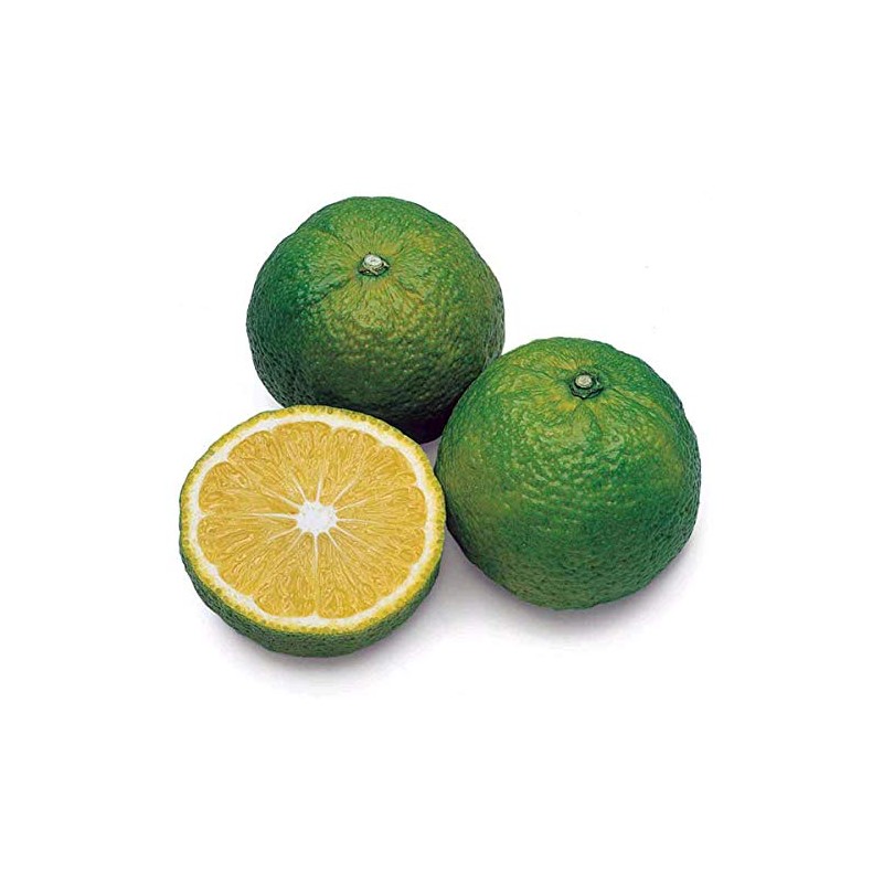 北山村 の じゃばら飴,じゃばら果皮粉末入り ジャム入り