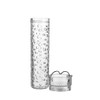 Paratito Fruit Infuser Flavour Your Water with Fruit Infuser BPA