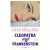 Cleopatra und Frankenstein: Roman. Eine ungleiche Liebe in New York