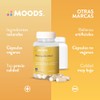 Nootrópico con Melena de León y L-Glutamina para Concentración -