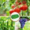 Trellis Netting for Climbing Plants, 6.6x9.85 FT Heavy Duty Garden