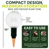 Blumat Clear Globe Single Pack - Automatic Watering Stake with