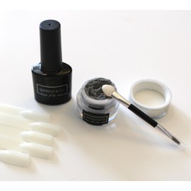 Holo Pure Powder, Magic Powder, Mirror Powder Holographic CHOOSE BASIC KIT or DELUXE KIT for Nails (Basic Holo Pure Kit)