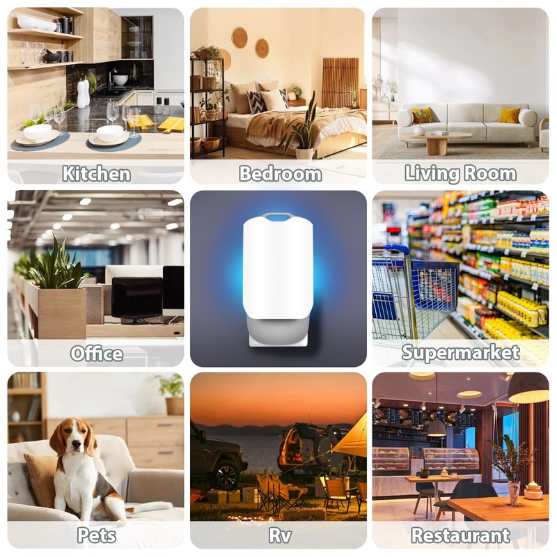 Flying Insect Trap for Indoors(only 10 Refills no Device)