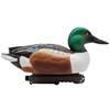 Final Approach Live Floating Northern Shovelers, Decoy 6 Pack in