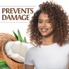 Biosilk Silk therapy with organic coconut oil moisturizing conditioner -
