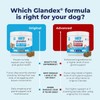 Vetnique Labs Glandex Anal Gland Soft Chew Treats with Pumpkin