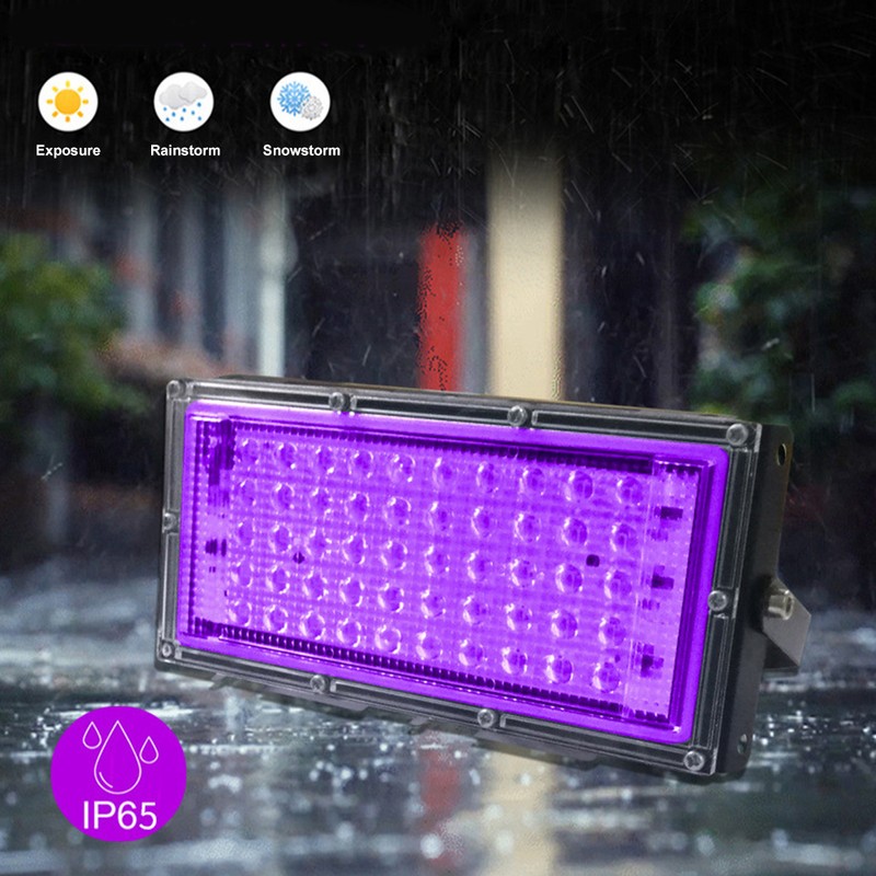 UV Black Light 50W LED Flood Light Waterproof Glowing in