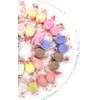 SweetGourmet Assorted Salt Water Taffy | Boardwalk Flavors Collection |