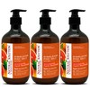 Natural Solution Hand Wash, enriched with moisturizing blood orange and