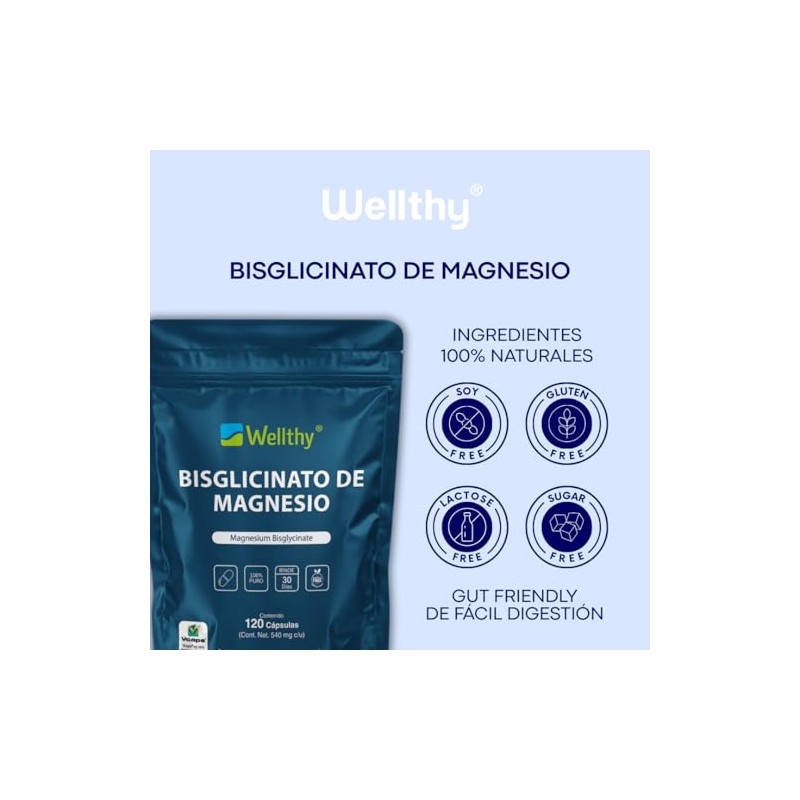 Wellthy Bisglicinato Magnesio 120 Cápsulas 432mg Elemental 100 Natural Alta