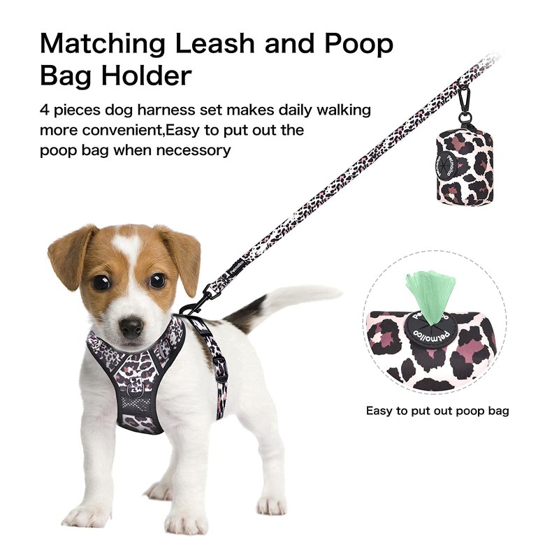 Petmolico No Pull Dog Harness Set with Leash Attachment Easy
