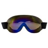 Birdz Eyewear Thrush Sport Snowboarding Skydiving Motorcycle Riding Goggles w/Blue