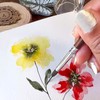 Watercolor Brushes Professional - 4 Pcs Extended Needle Point Brushes