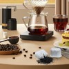 12 Pack Water Filter Inserts Compatible with Ninja Luxe Cafe