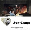 AWO SP.8VH01GC01 / SP.73701GC01 / BL-FP190E Projector Replacement Bare Lamp
