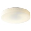 Oxygen Lighting Oxygen 2-6139-6 Transitional Two Light Ceiling Mount from