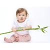 Caboo Caboo Tree Free Bamboo Baby Wipes, Eco Friendly Naturally