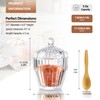ZEERSHEE 5 Oz Clear Glass Salt Cellar with Lid for