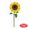 Beistle 52162 Sunflower Cutouts, 3', Multicolor
