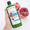 Yves Rocher Shampoo Tratamiento Anti Caspa, 300 ml