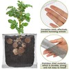 12 Pcs Gopher Baskets Plant Root Gopher Wire 1/3 /