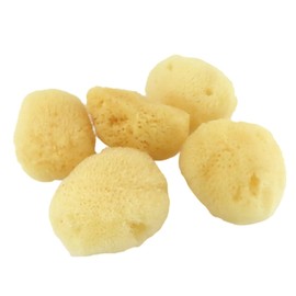 Toysfan Natural Sea Sponge Silk, Size 5 (Approx. 2.0 inches (5 cm), Set of 5, Fine Texture, Crumble Resistant, Resilient, Absorbent, Makeup Puff Remover