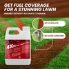 32oz 4X Red Spray Dye - Makes 128 Gallons of