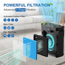 AP303 AP304 Replacement Filters, Compatible with DAYETTE AP303/304 Air Puri-fier, and for FRESHDEW AP303 AP304 Puri-fier,2 Pack Filters with 3 Stage Filtration