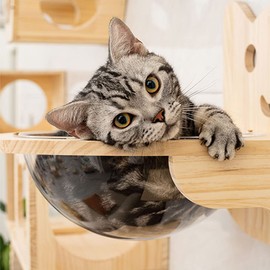 Kelendle Wall Mounted Cat Bridge 30.7" Wooden Cat Perch Ladder Cat Lounge Hammock Cat Cloud Shelf Cat Activity Tree Furniture Kitty Climber Tower Cat Condo