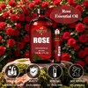 Rose Essential Oil for Humidifier Yoga Bath,Rose Oil - 4.33