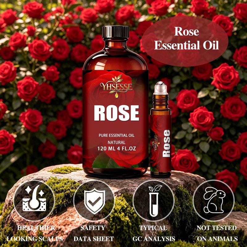 Rose Essential Oil for Humidifier Yoga Bath,Rose Oil - 4.33