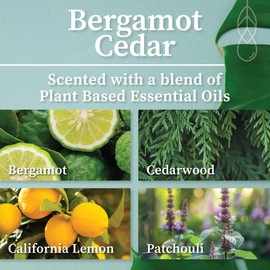 Hemlock Park Classic Wick Candle Handcrafted with Natural Coconut Wax and Essential Oils (Amber & Gold 7.2 oz, Bergamot Cedar)