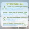 Bluetooth Radon Detector for Home, High-Precision Sensor, Real-Time Radon Gas