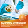 Mold Test Kit for Home Air Quality 30PCS - Mold