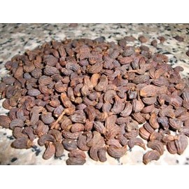 Plum Dragon Herbs Nu Zhen Zi Chinese Herb | Privet Fruit Herb | Ligustrum Lucidum - Chinese Herb 1 Lb
