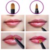 2 Pcs Retractable Lip Brushes Portable Dual End Lipstick Brush