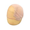BLICAP Glueless Wig Cap for Making with Adjustable Strap Glueless