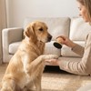 Dog Nail Scratch Board, Wooden Scratch Pad for Nails with