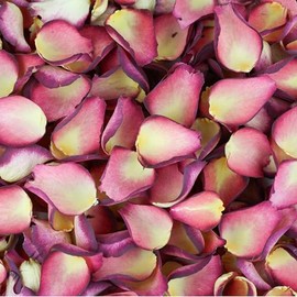 Petals and Roses Freeze Dried Rose Petal Confetti | Natural & Biodegradable for Weddings, Damson Velvet, 2 Litres