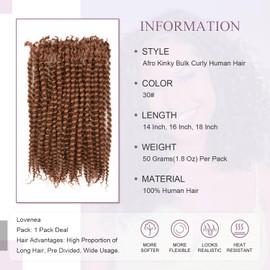 Lovenea Afro Kinky Curly Bulk Human Hair 50g/pack 100% Real Human Hair for Mini Twist/Braiding/Loc Extensions Curly Hair Natural Afro Bulk for Dreadlocks (30#, 14 Inch-50g)