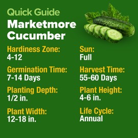 HOME GROWN Organic Cucumber Seeds - 200 Marketmore Heirloom Vegetable Seeds for Planting in Trellises, Raised Beds, or Containers - Ideal for Beginners and Experienced Gardeners (Cucumis sativus)