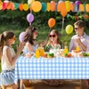 2 Pcs Blue and White Checkered Tablecloth, Blue Plastic Table