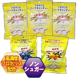 高濃度プロポリス配合 プロポリスキャンディー のど飴 ノンシュガー 個包装 (ハーブ3袋・オレンジ1袋・ブルーベリー１袋)
